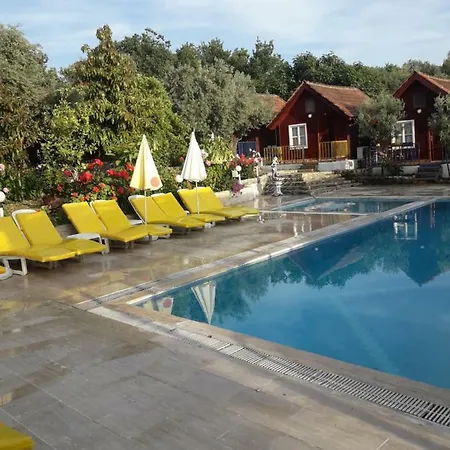 Hotel Bykara 2*