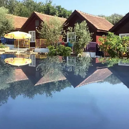 Bykara Сіде